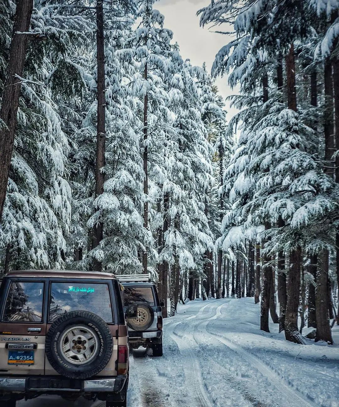 7 Days Swat, Kalam & Malam Jabba