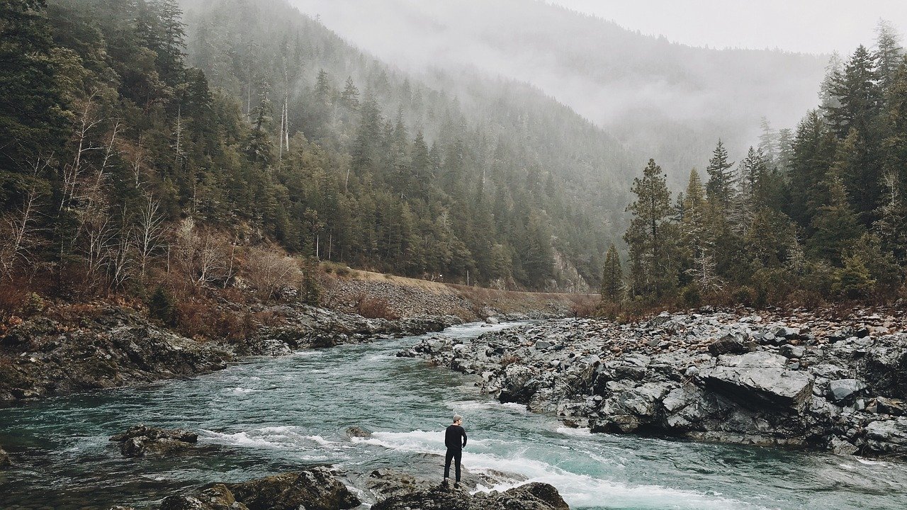 man, river, trees